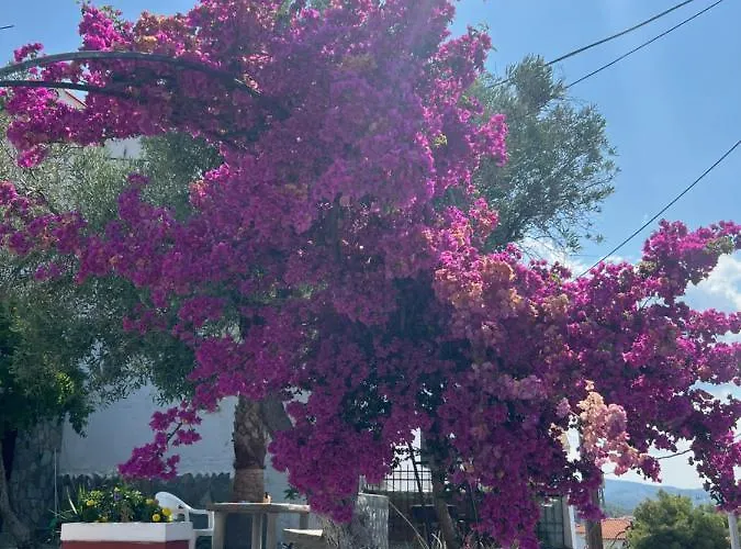 Agape Néos Marmarás