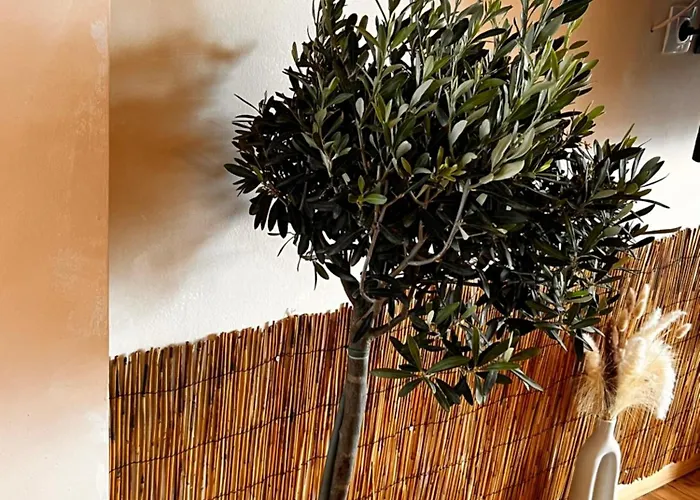 Apartment Agape Néos Marmarás