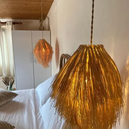 Agape * 新马尔马拉斯