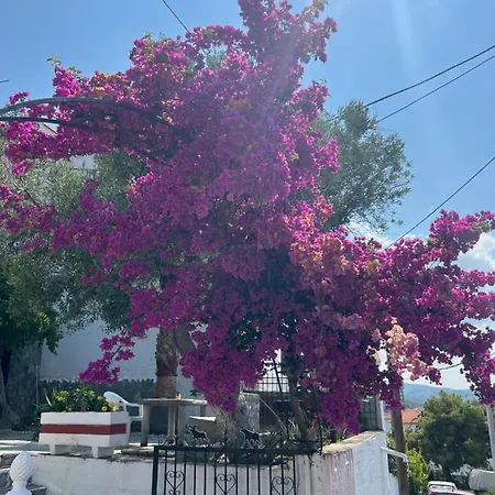 Agape Néos Marmarás