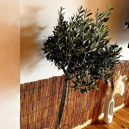 Apartamento Agape Néos Marmarás